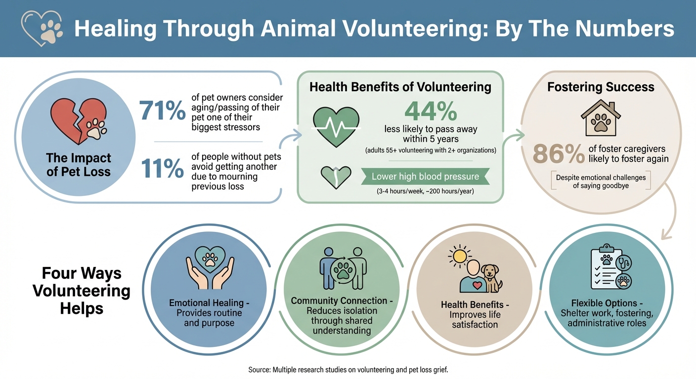How Animal Volunteering Helps Pet Loss Grief Recovery: Key Statistics and Benefits