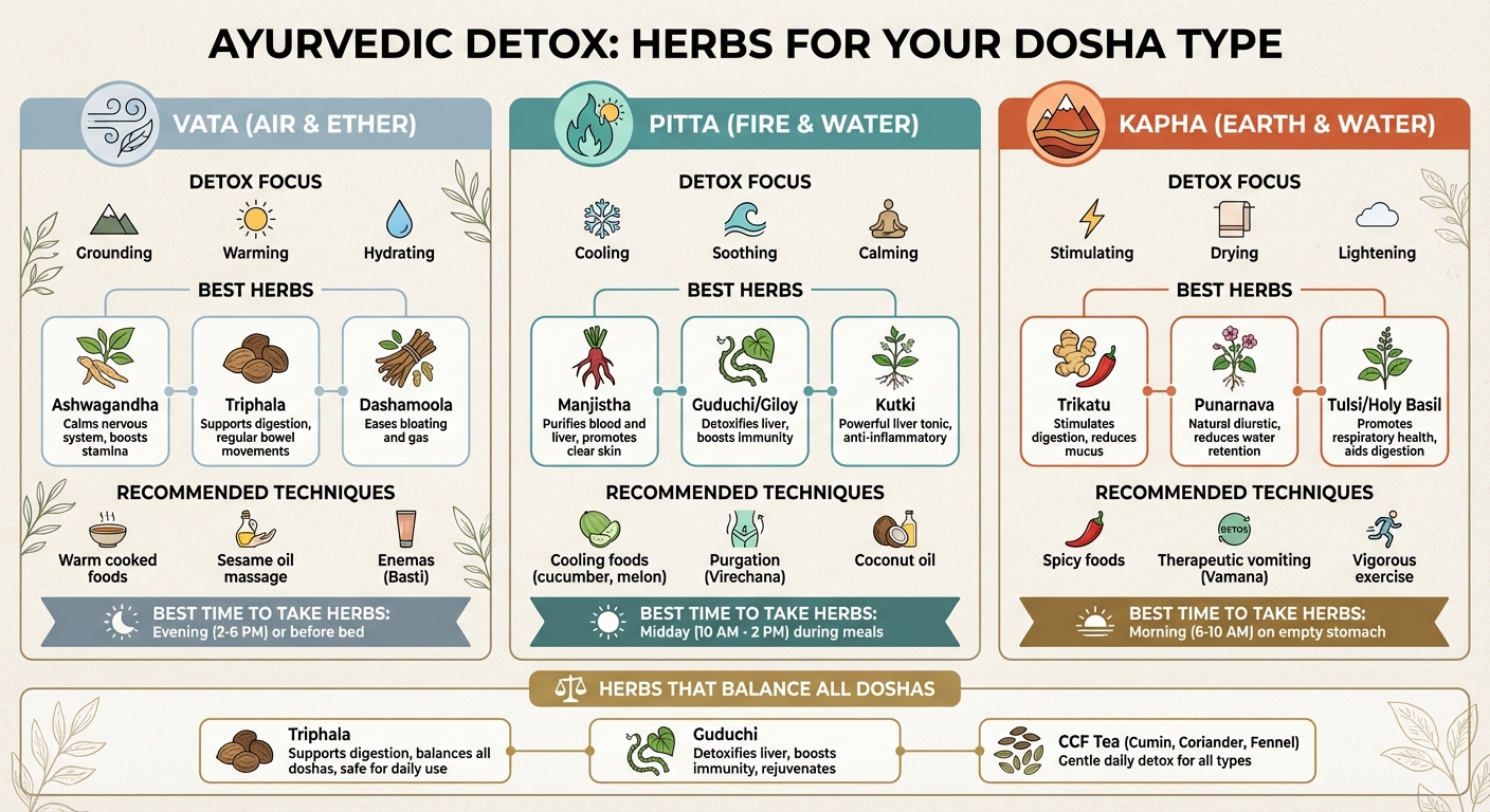 Best Ayurvedic Detox Herbs for Vata, Pitta, and Kapha Doshas