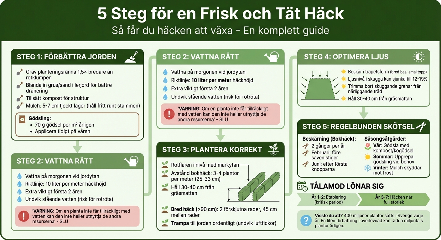 Steg-för-steg guide för att få häcken att växa bättre