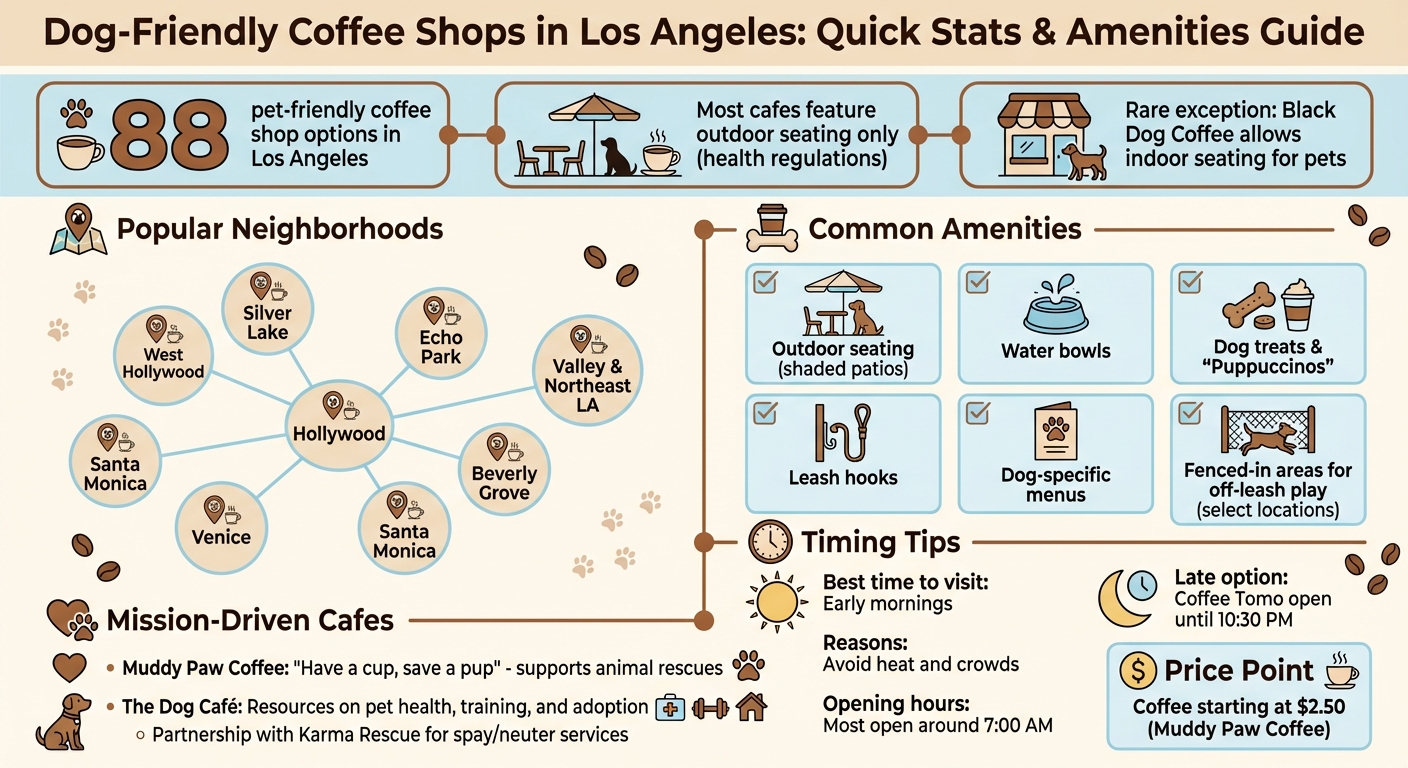 Dog-Friendly Coffee Shops in Los Angeles: Key Statistics and Amenities Guide
