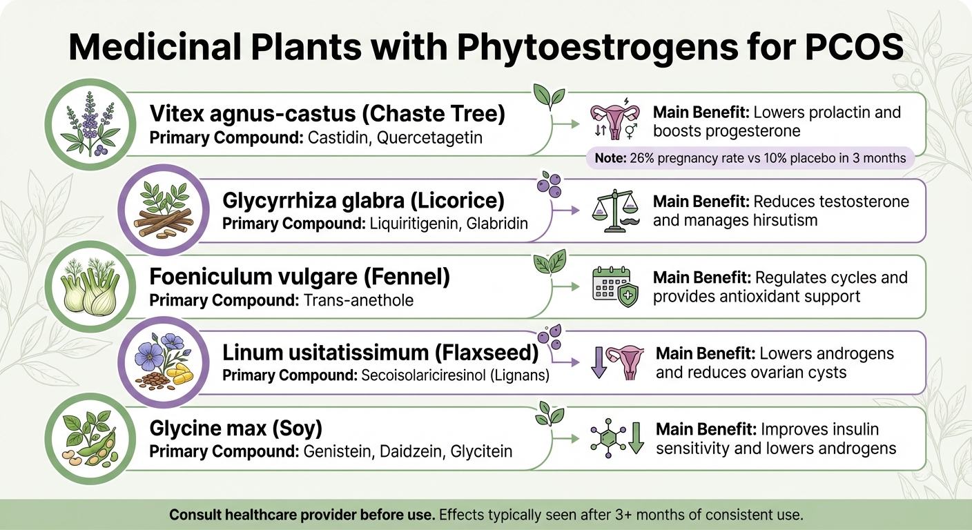 5 Medicinal Plants with Phytoestrogens for PCOS Treatment