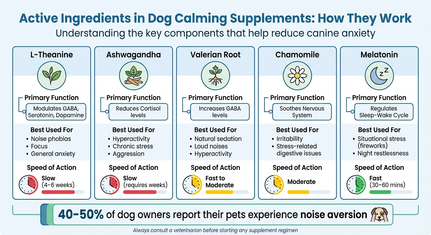 Active Ingredients in Dog Calming Supplements: Functions and Speed of Action