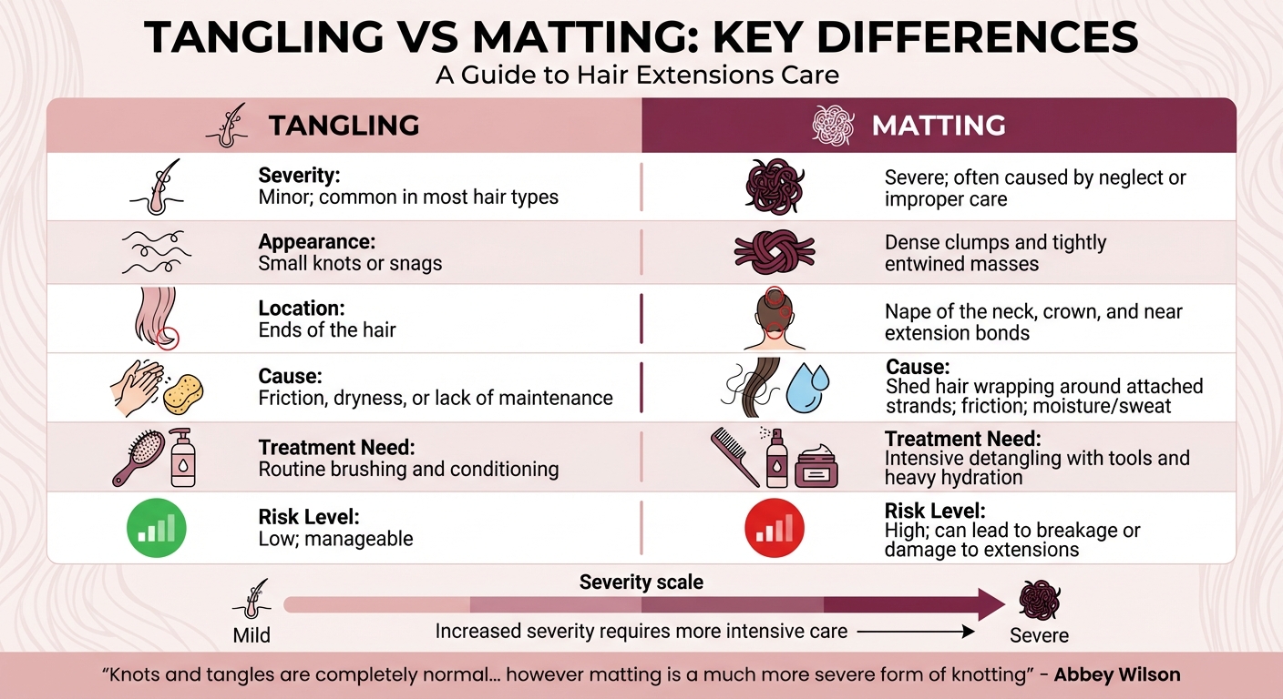 Tangling vs Matting in Hair Extensions: Key Differences Comparison Chart