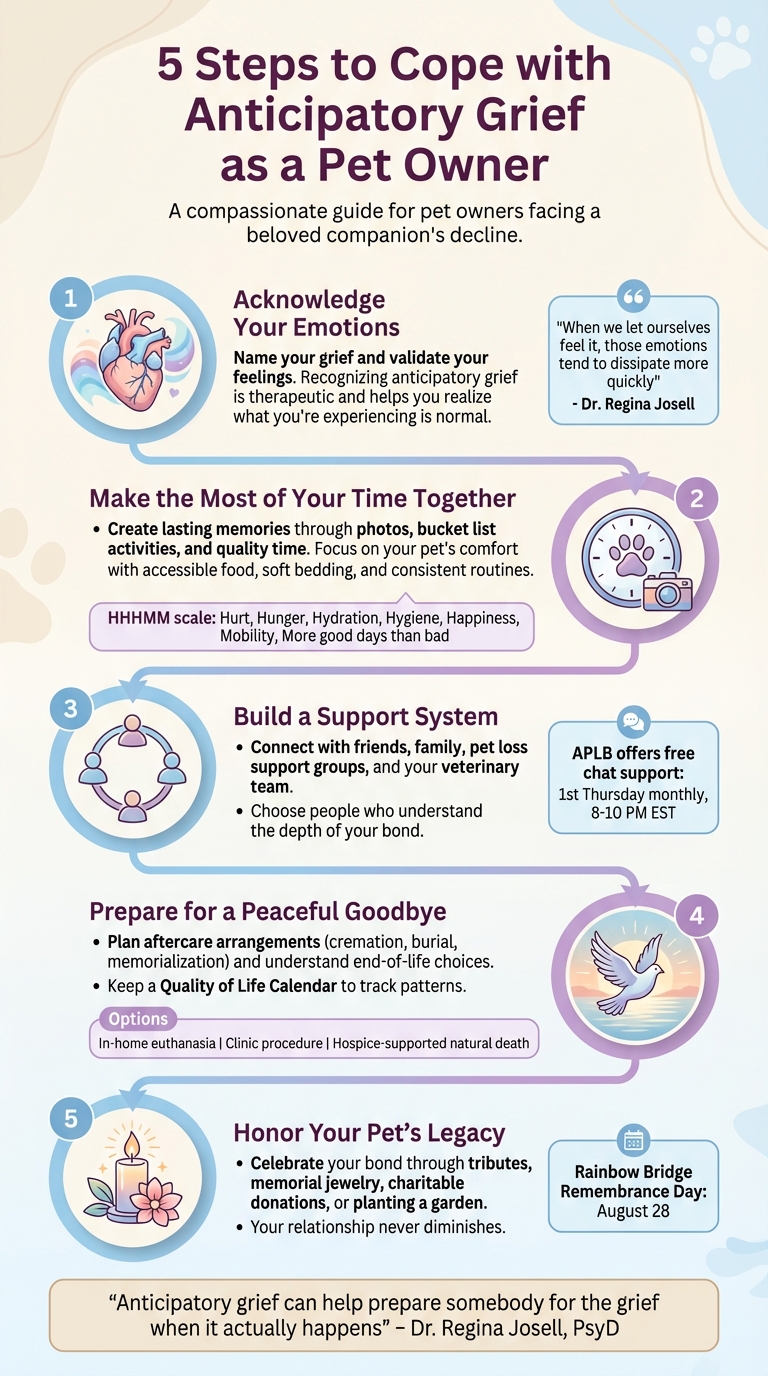 5 Steps to Cope with Anticipatory Grief as a Pet Owner