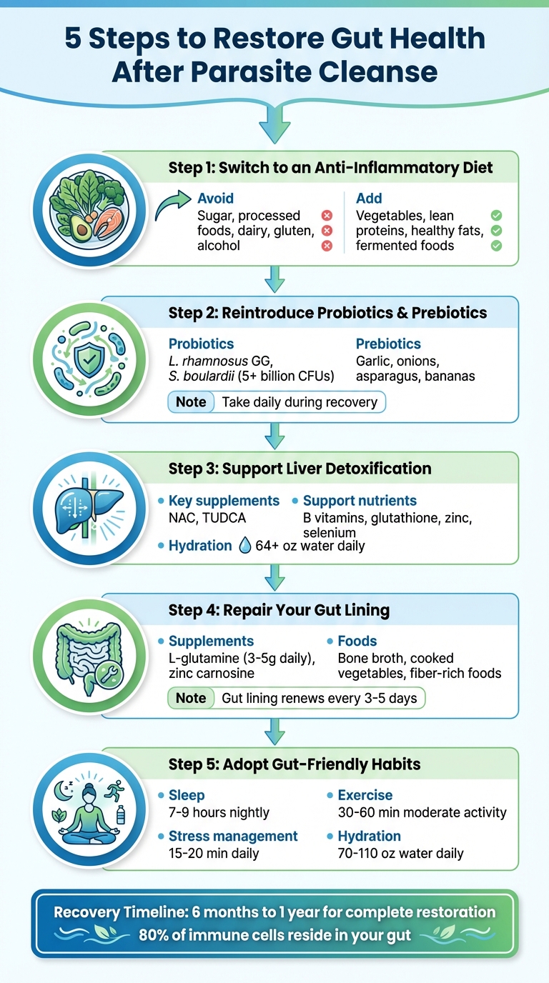 5 Steps to Restore Gut Health After Parasite Cleanse