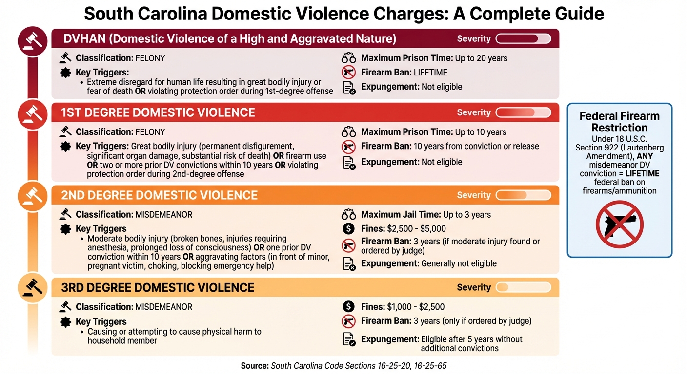 South Carolina Domestic Violence Charges: Degrees, Penalties, and Firearm Restrictions
