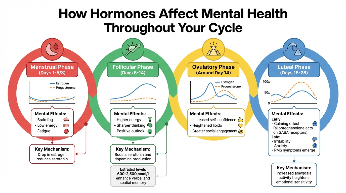 How Hormones Affect Mental Health Throughout Your Menstrual Cycle