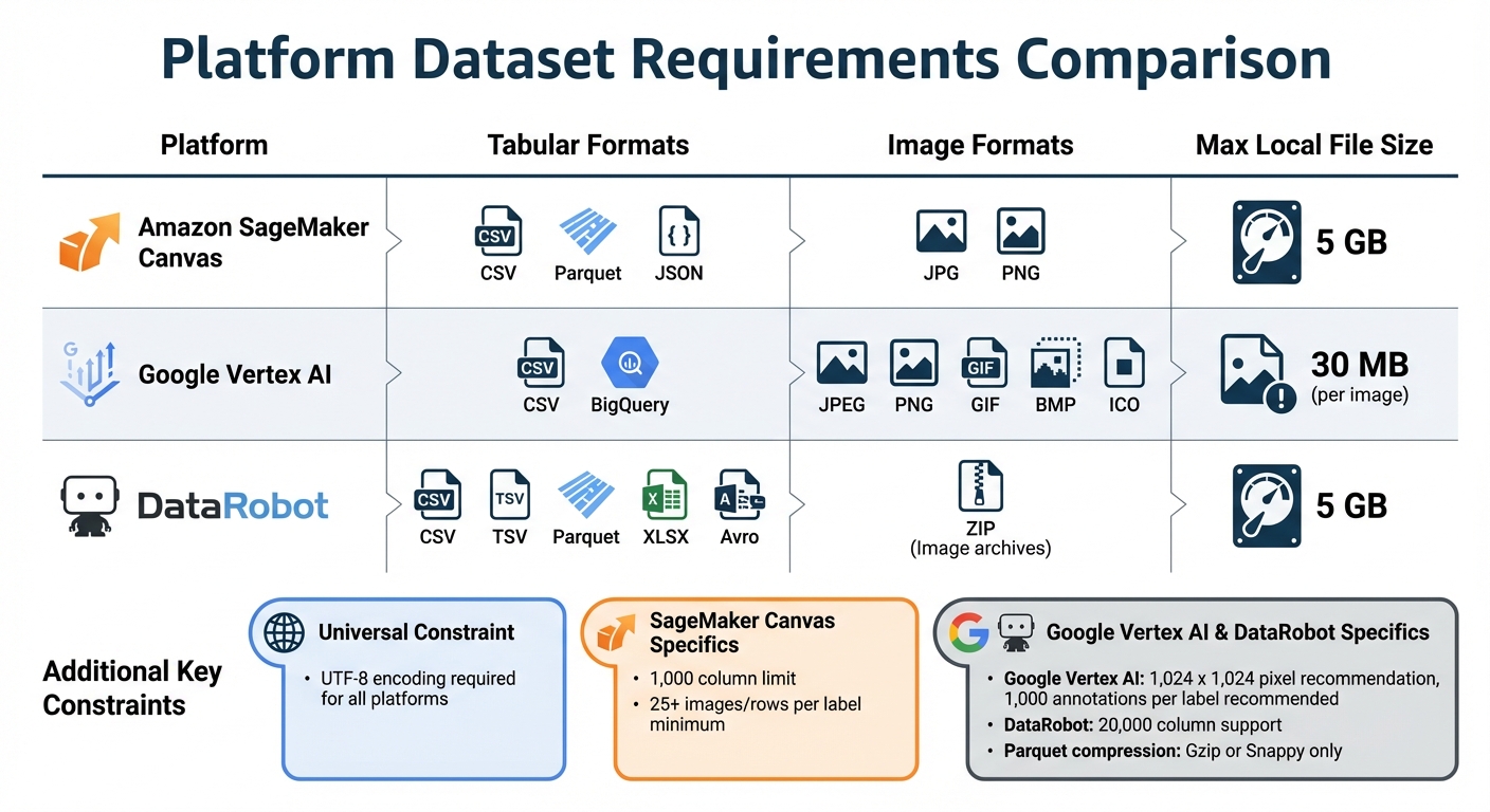 AI Platform Dataset Requirements: Format Support and Size Limits Comparison