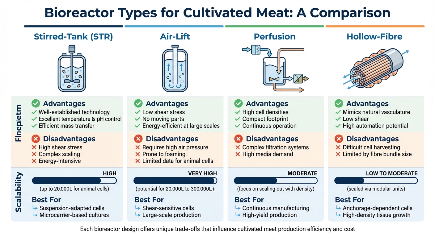 Bioreactor Types Comparison for Cultivated Meat Production