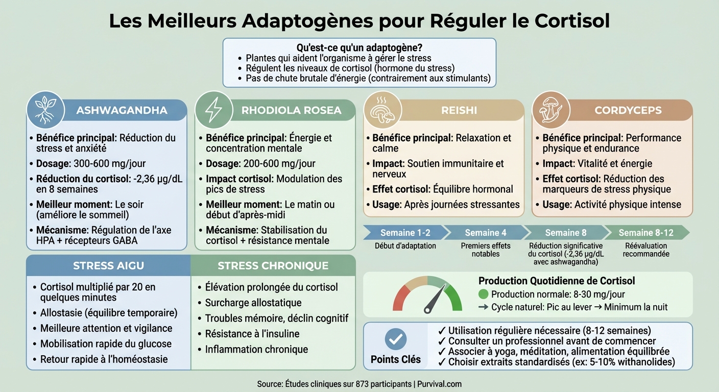 Guide comparatif des adaptogènes pour réguler le cortisol et gérer le stress