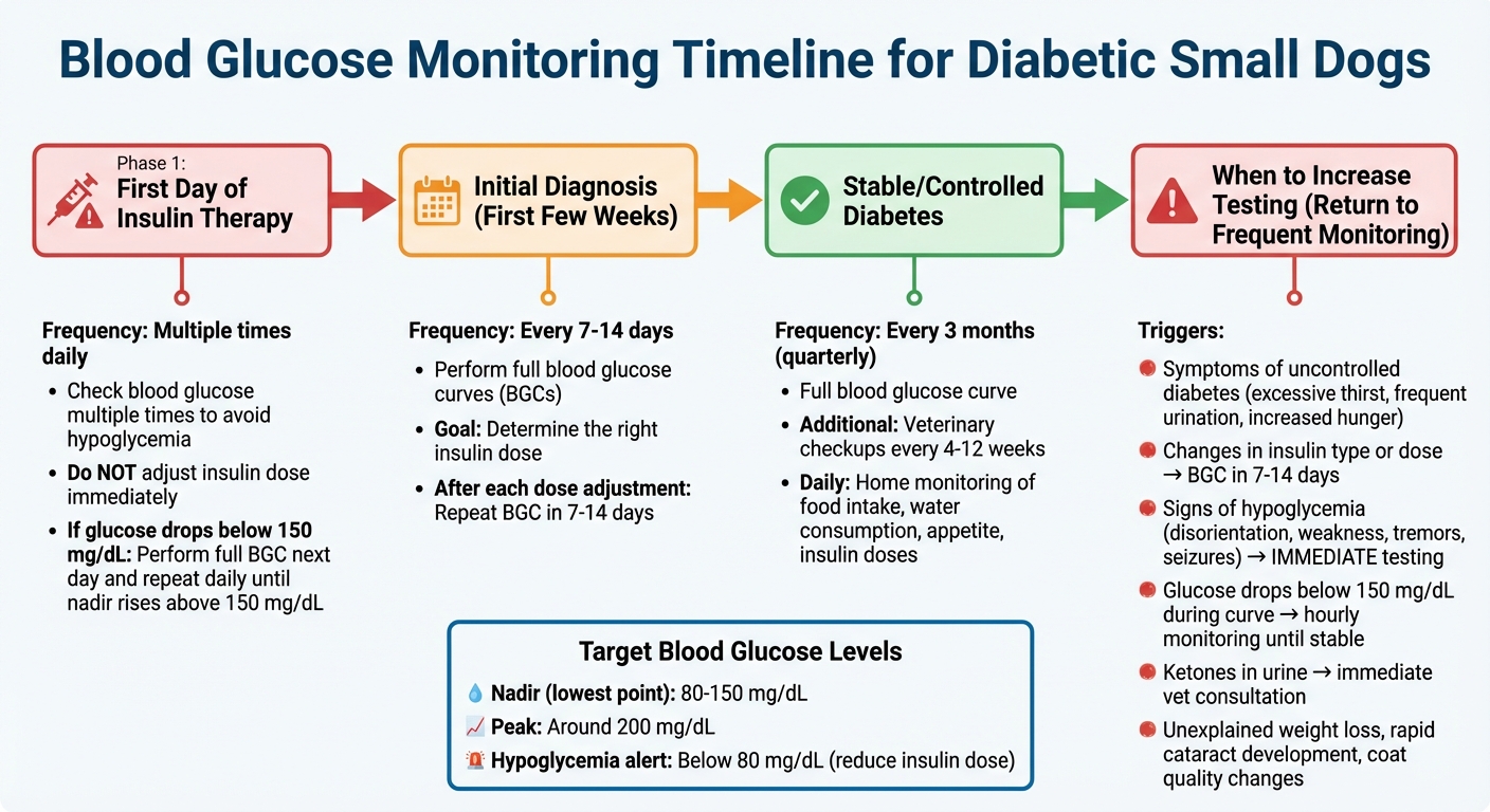 Blood Glucose Monitoring Schedule for Diabetic Small Dogs