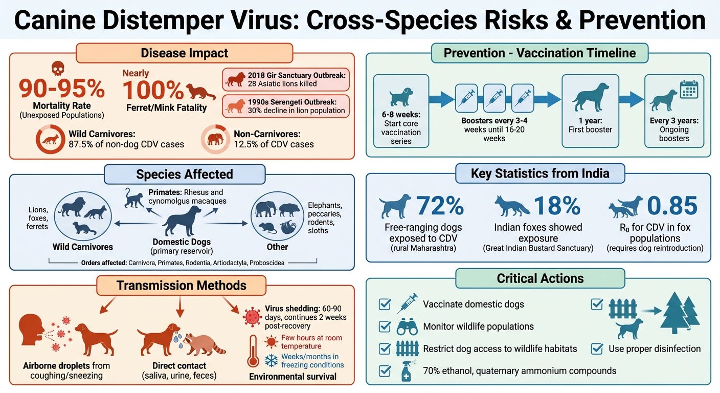 Canine Distemper Virus: Cross-Species Impact and Prevention Statistics