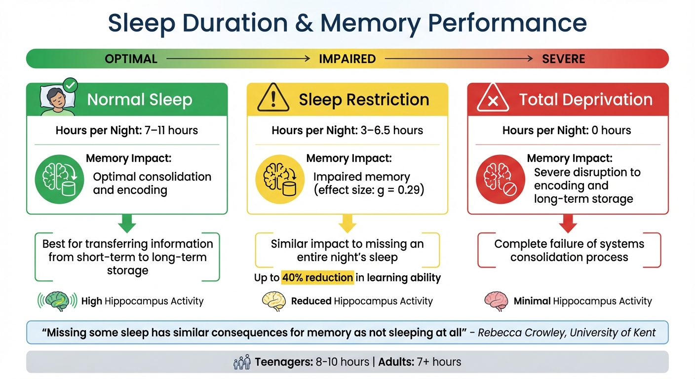 How Sleep Duration Affects Memory Formation and Learning Performance