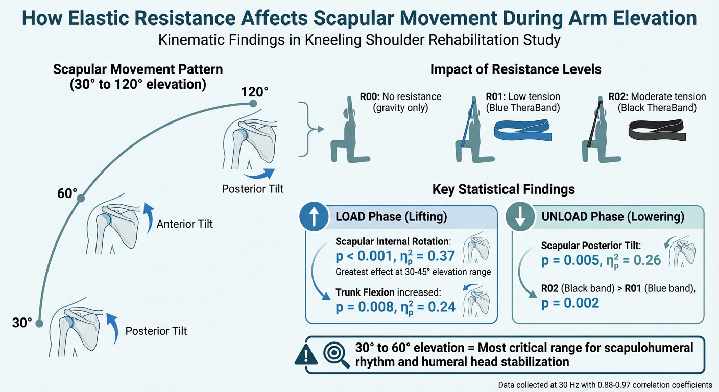 Elastic Resistance Effects on Scapular Kinematics During Shoulder Rehabilitation
