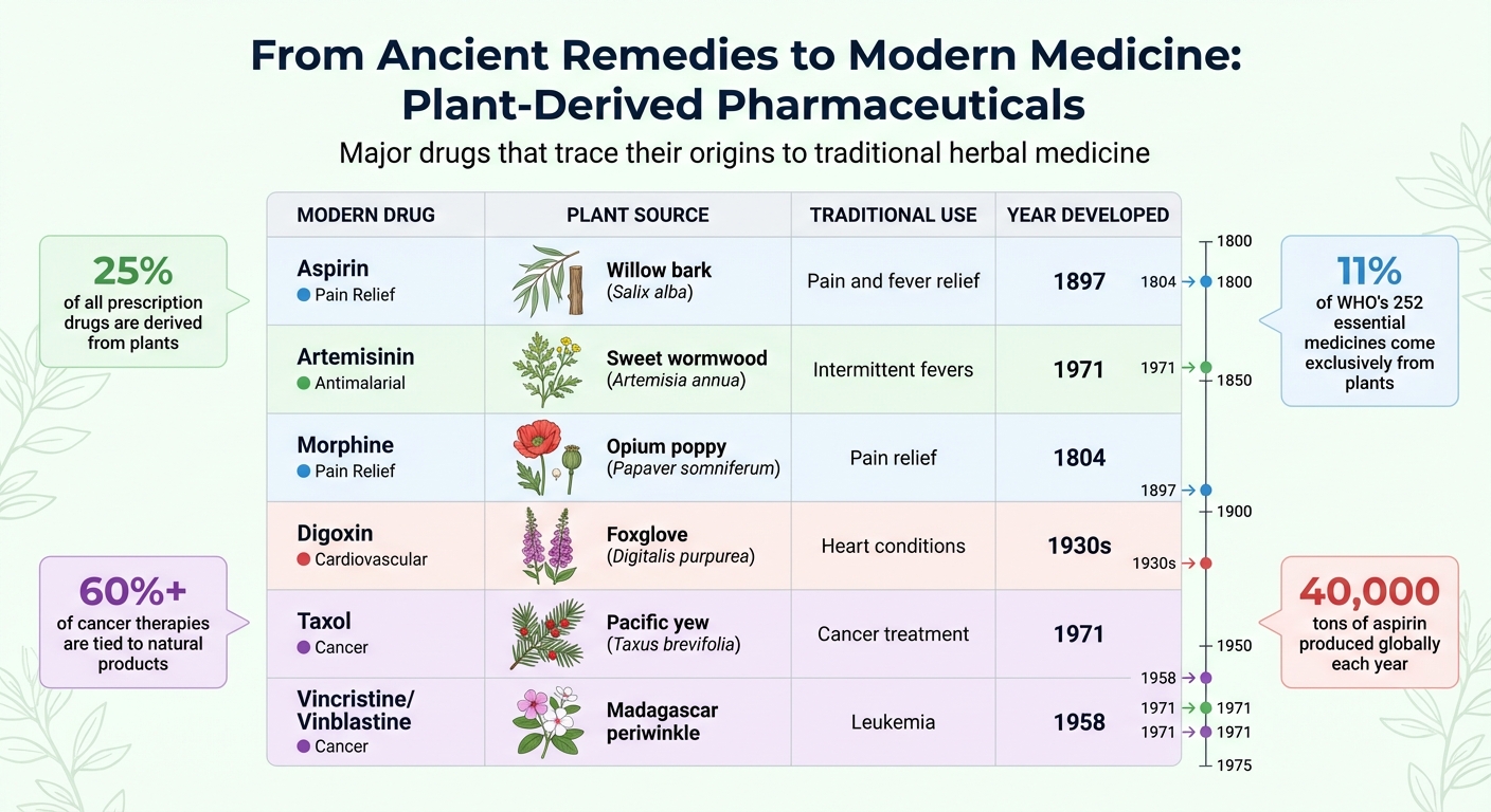Major Pharmaceutical Drugs Derived from Plants and Their Traditional Origins