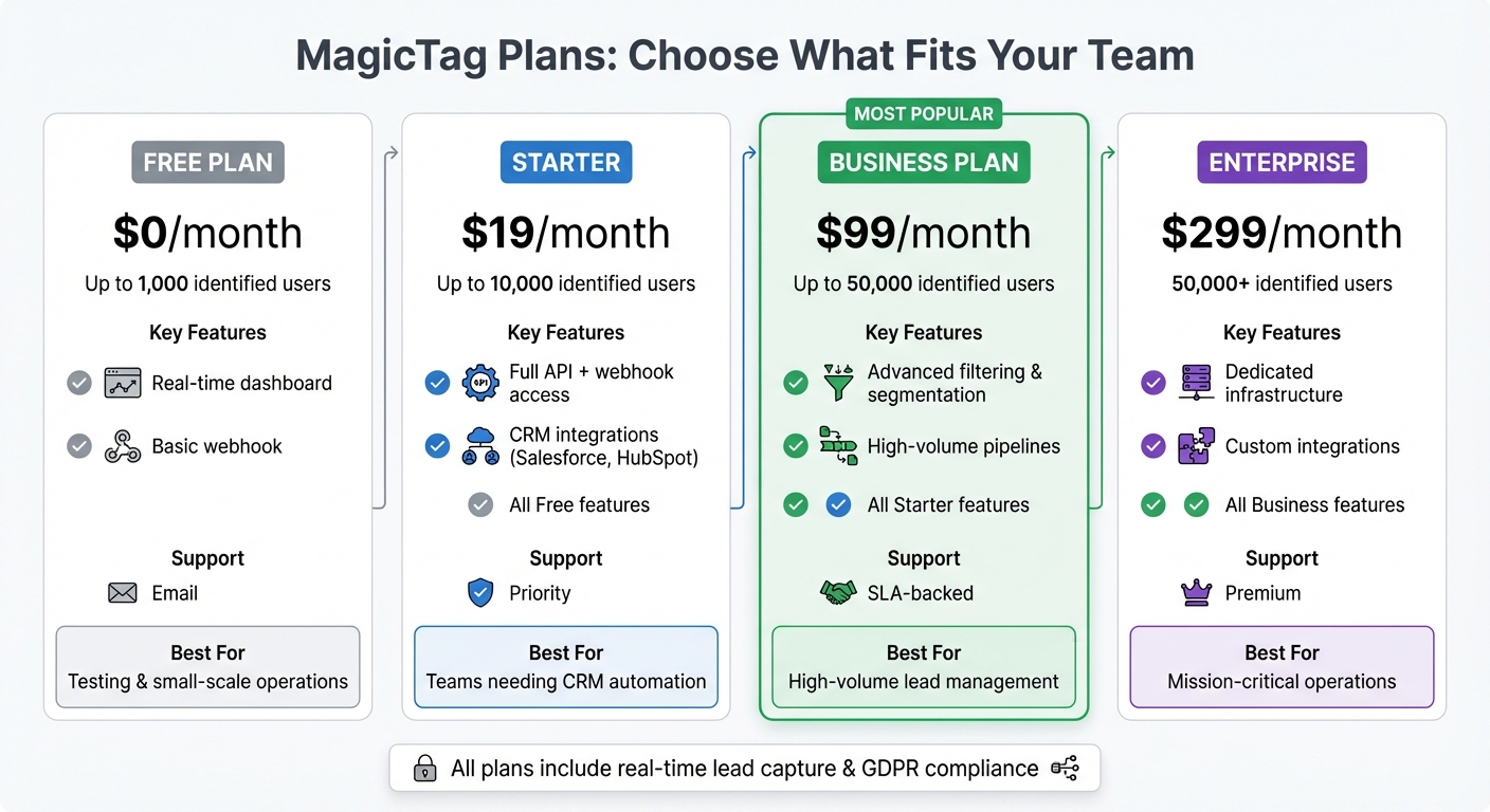 MagicTag Pricing Plans Comparison for B2B Sales Teams