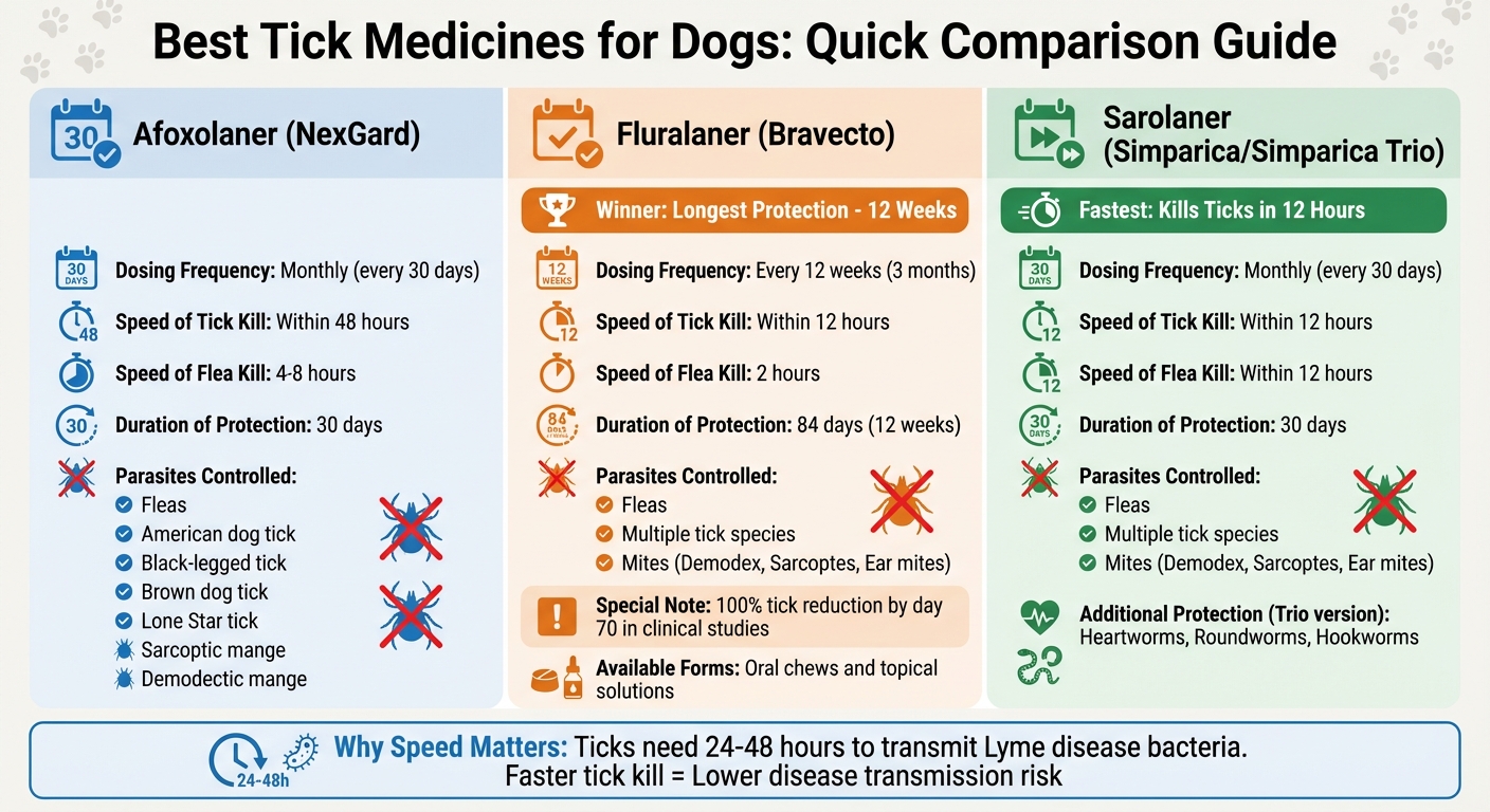 Comparison of Top Tick Medicines for Dogs: Dosing, Speed & Effectiveness