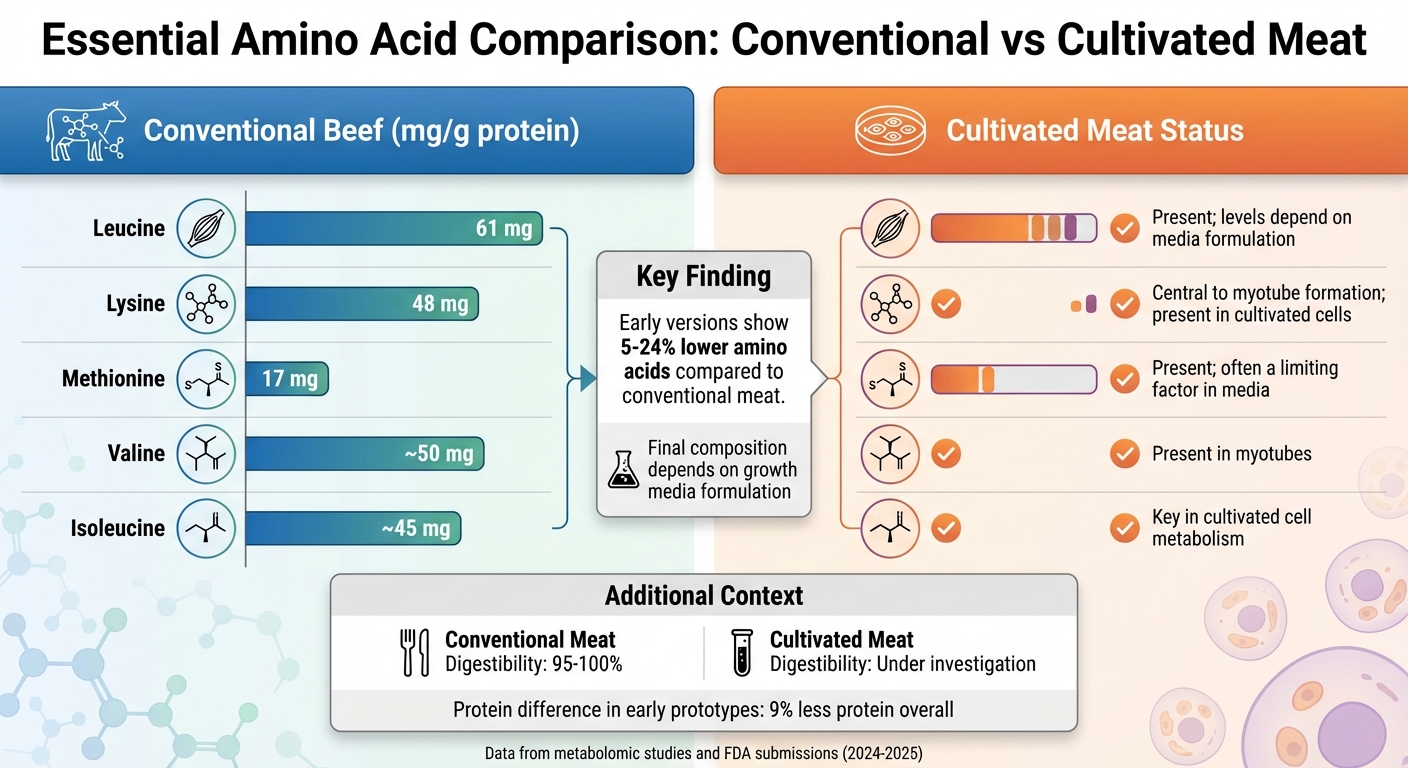 Essential Amino Acid Comparison: Conventional Beef vs Cultivated Meat