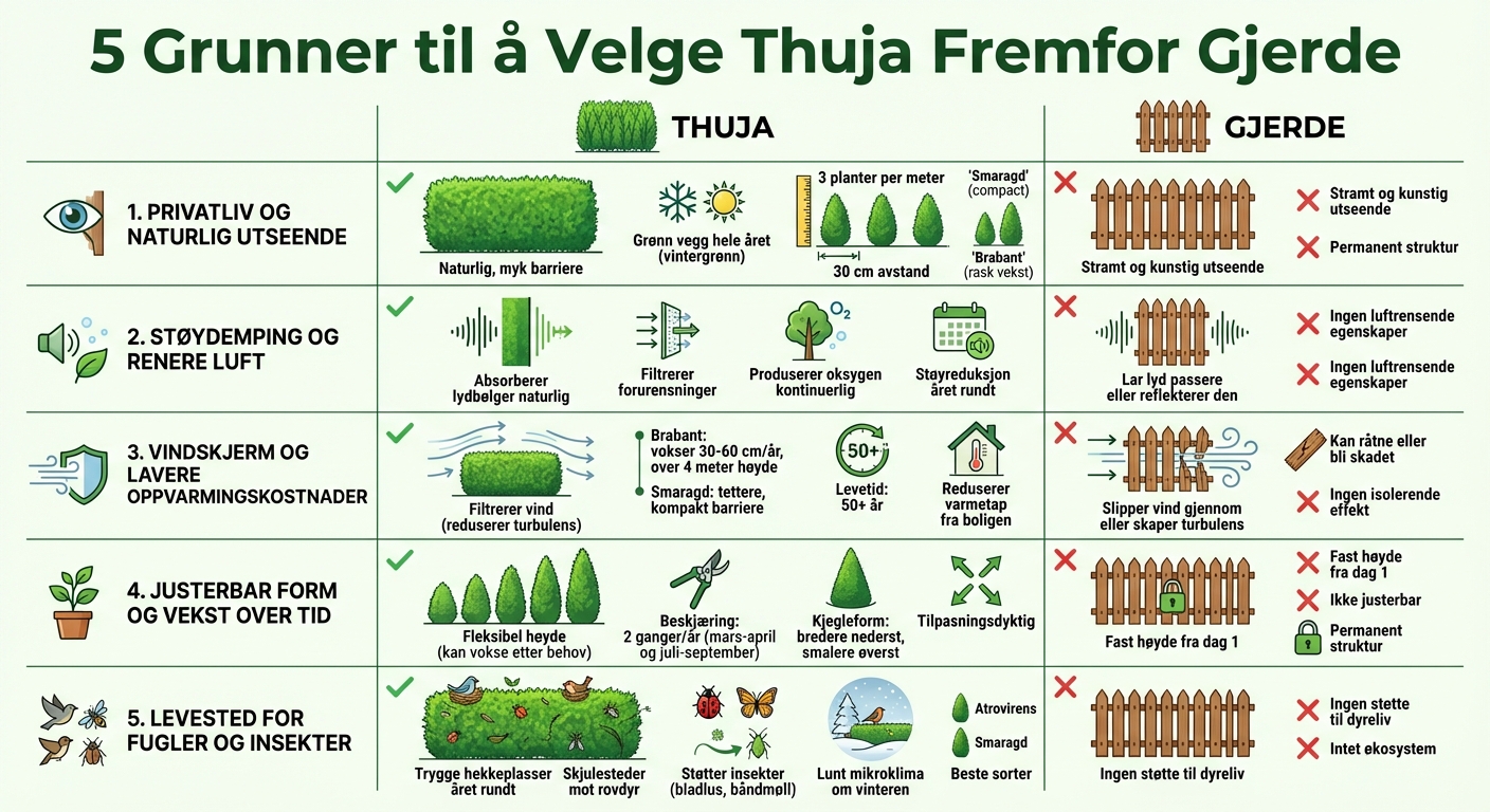 Thuja hekk vs gjerde: 5 viktige fordeler sammenlignet
