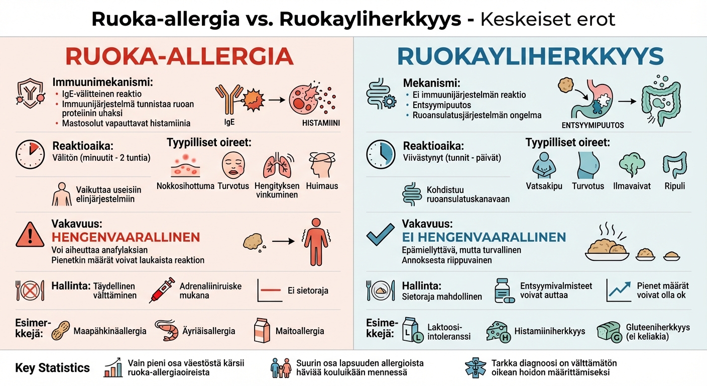 Ruoka-allergioiden ja ruokayliherkkyyksien erot: immuunimekanismit, oireet ja vakavuus