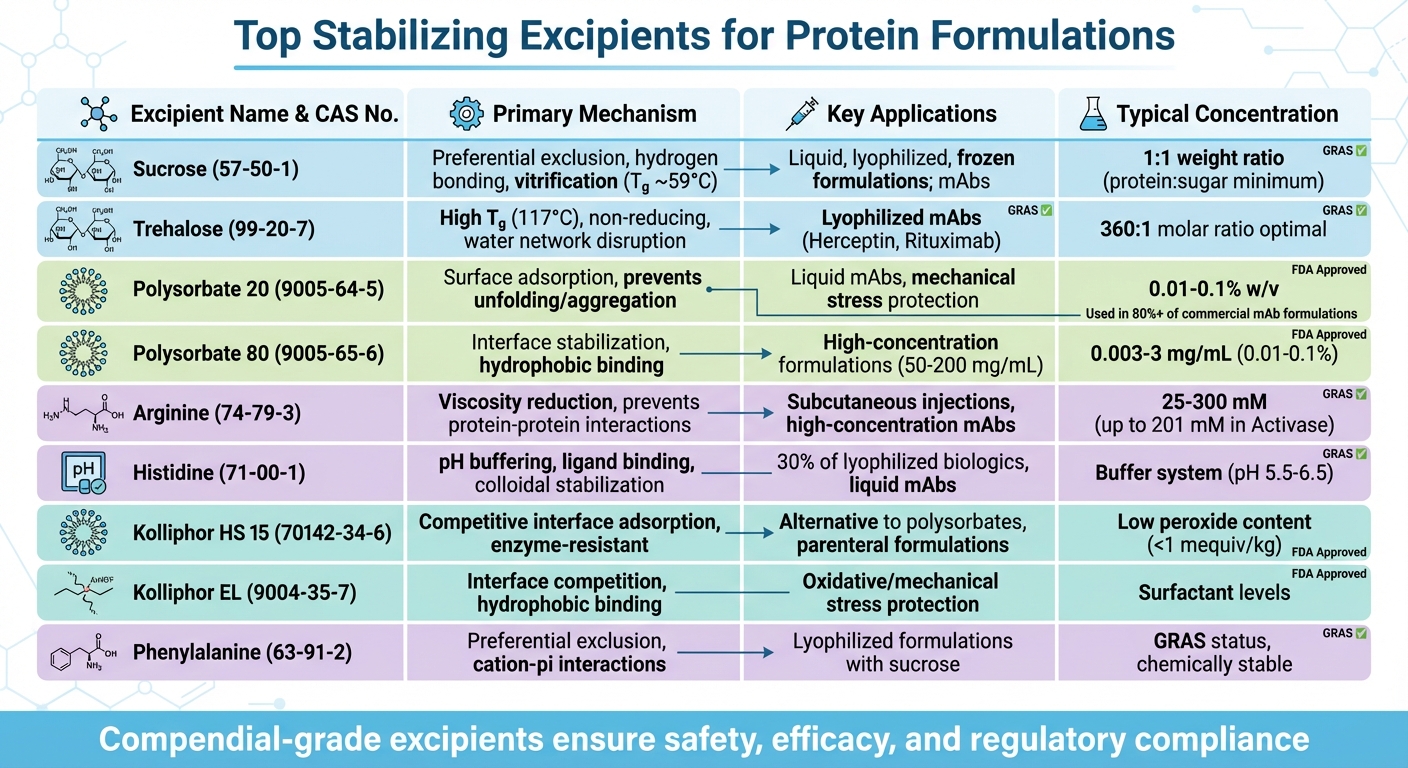 Top 9 Stabilizing Excipients for Protein Formulations: Mechanisms and Applications