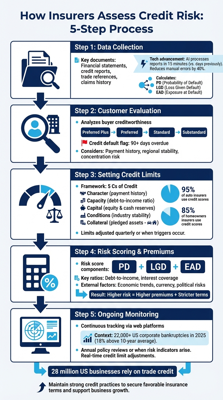 5-Step Credit Risk Assessment Process for Trade Credit Insurance