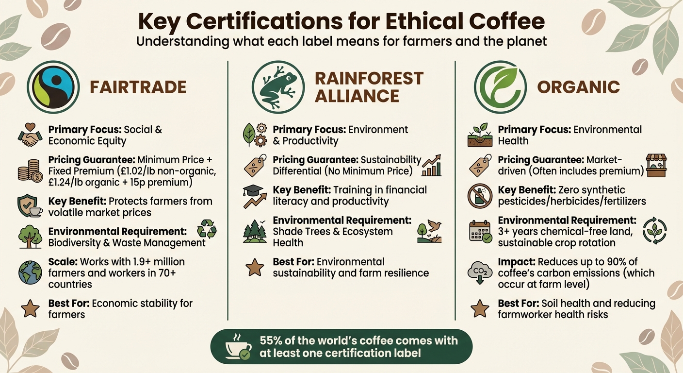 Coffee Certification Comparison: Fairtrade vs Rainforest Alliance vs Organic