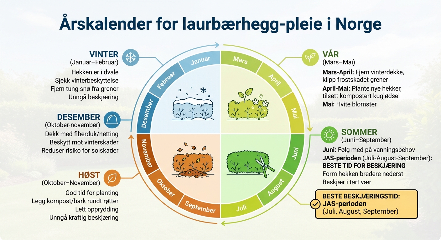 Månedskalender for stell av laurbærhekk i Norge