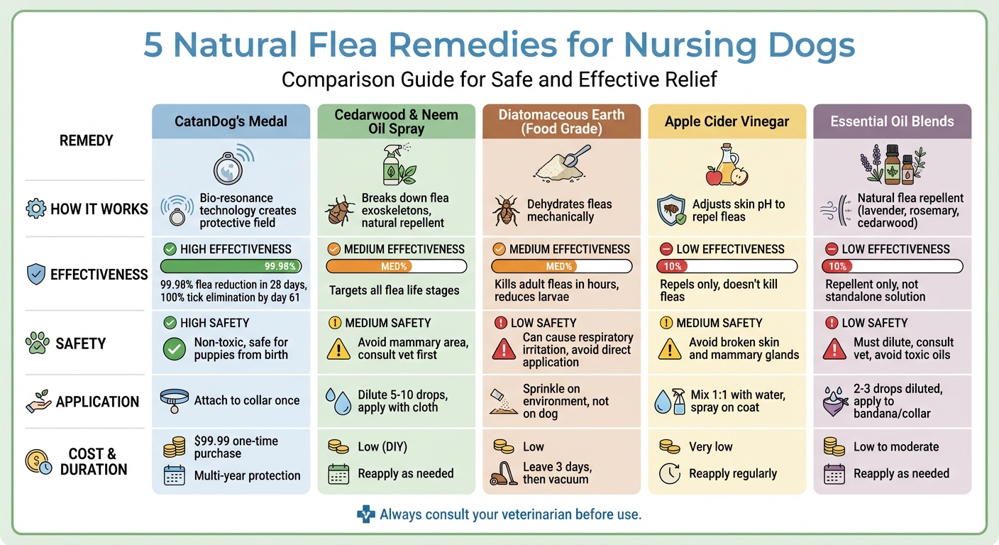 5 Natural Flea Remedies for Nursing Dogs Comparison Chart