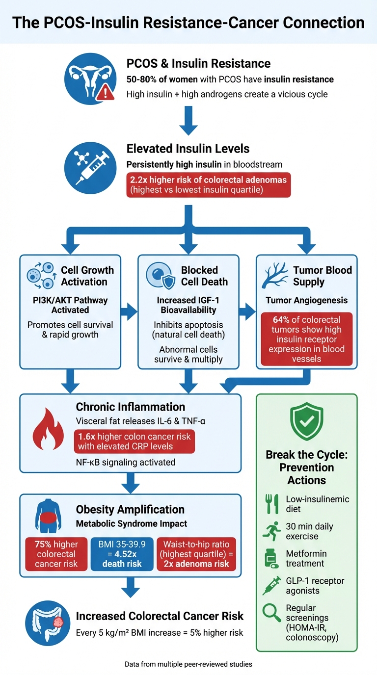 How Insulin Resistance in PCOS Leads to Colorectal Cancer Risk