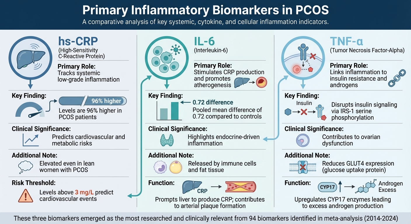 Primary Inflammatory Biomarkers in PCOS: hs-CRP, IL-6, and TNF-α