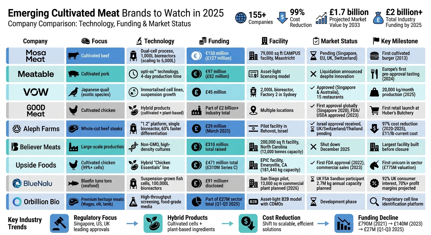 Top 9 Cultivated Meat Companies: Technology, Funding, and Market Status 2025