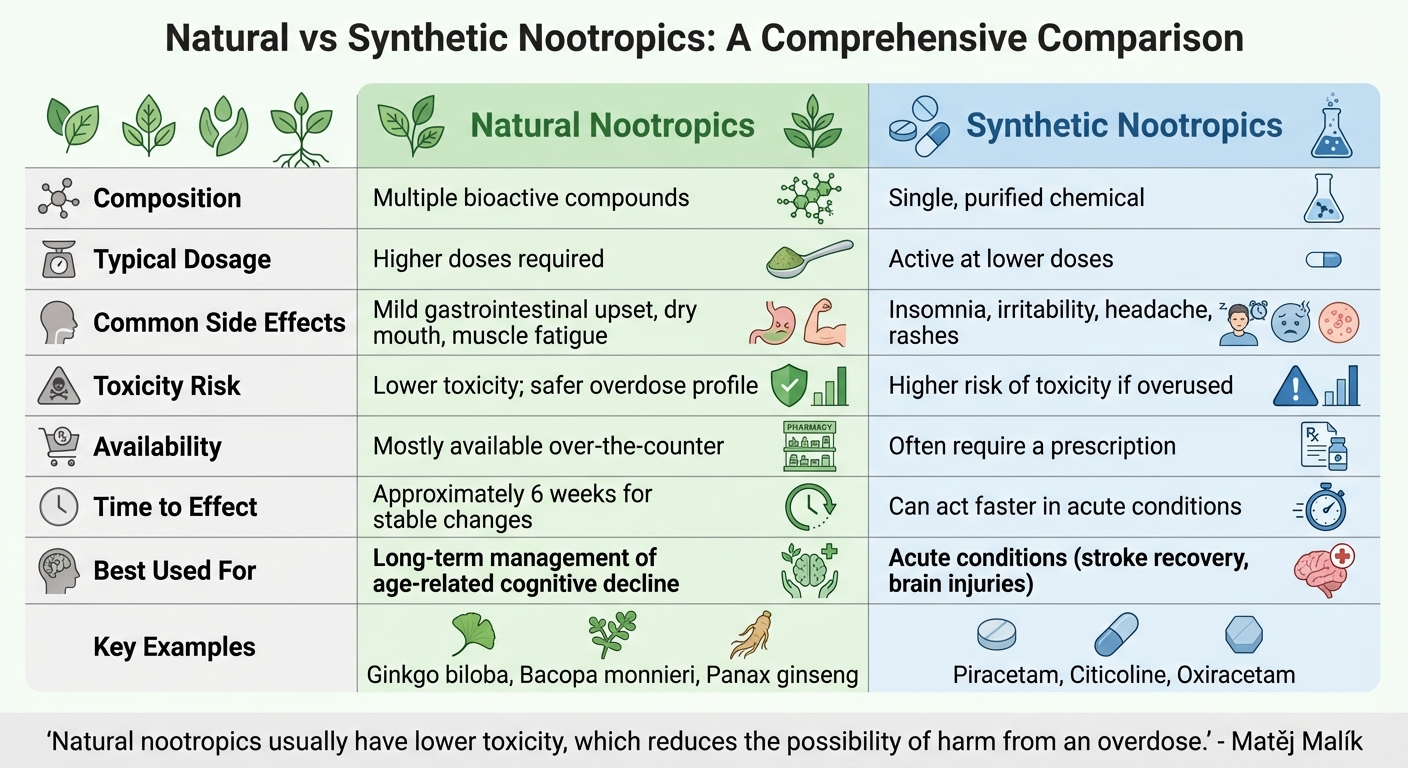 Natural vs Synthetic Nootropics: Safety, Effectiveness and Usage Comparison