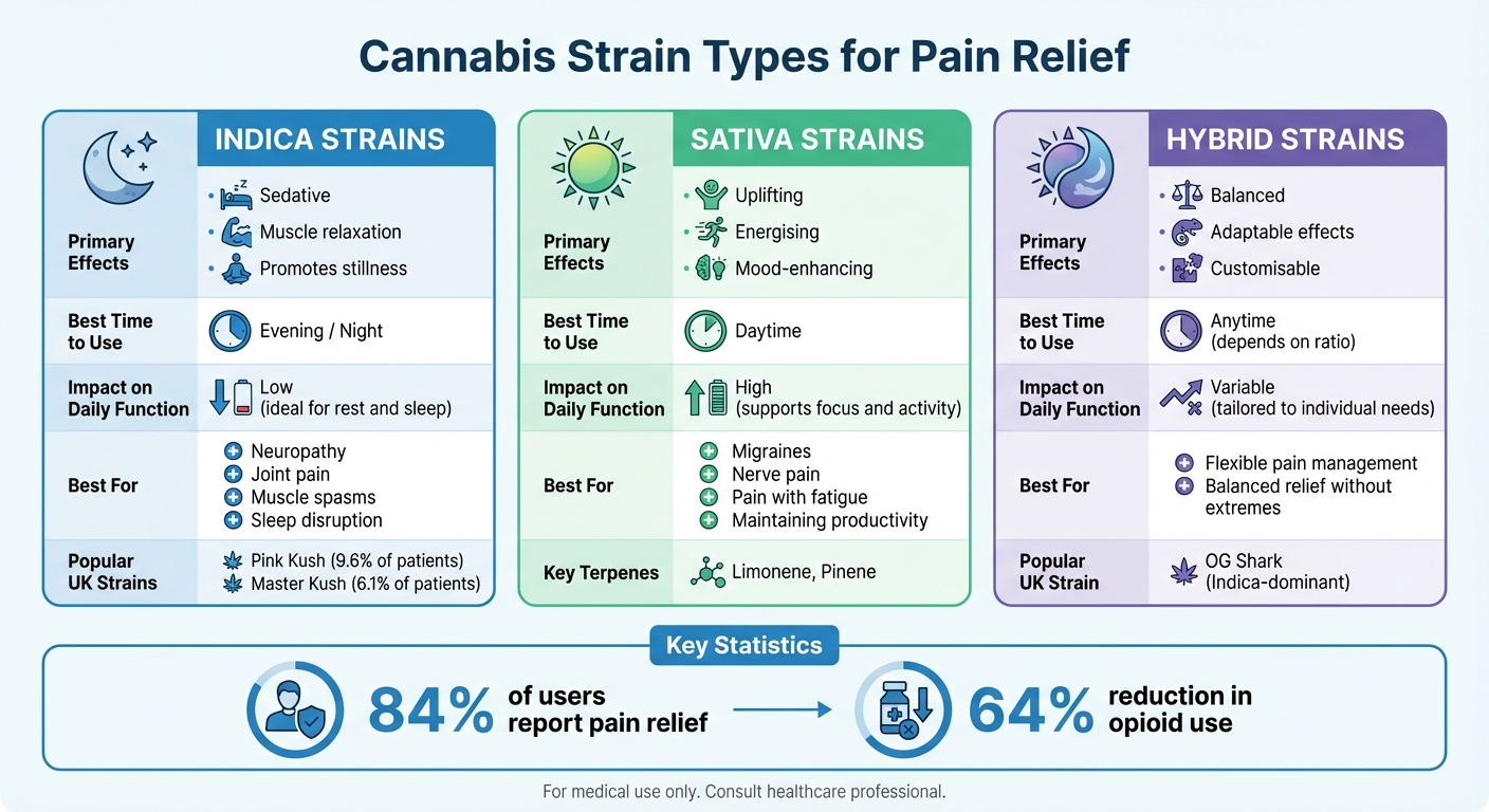 Cannabis Strain Types Comparison for Pain Relief: Indica vs Sativa vs Hybrid Effects