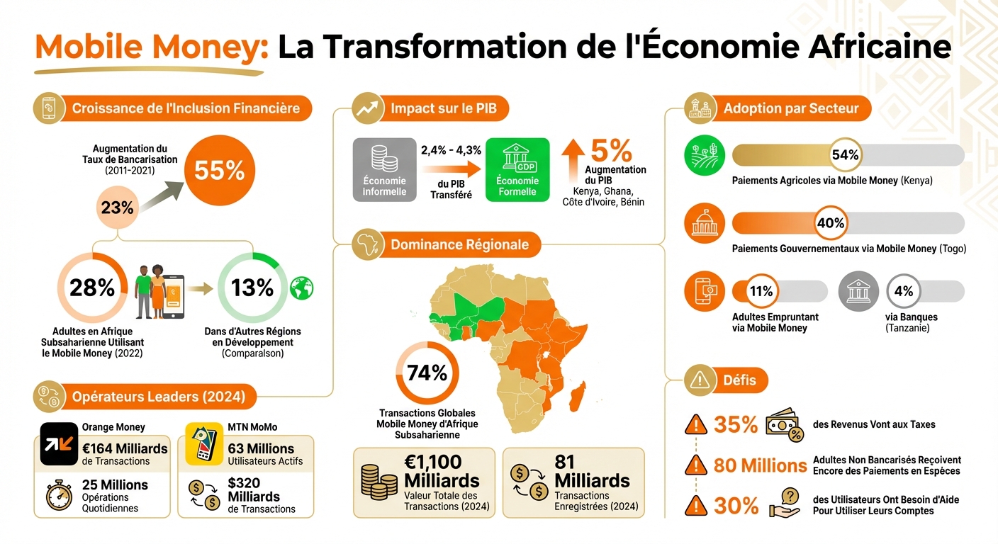 Mobile Money Impact on African Financial Inclusion and GDP: Key Statistics 2011-2024