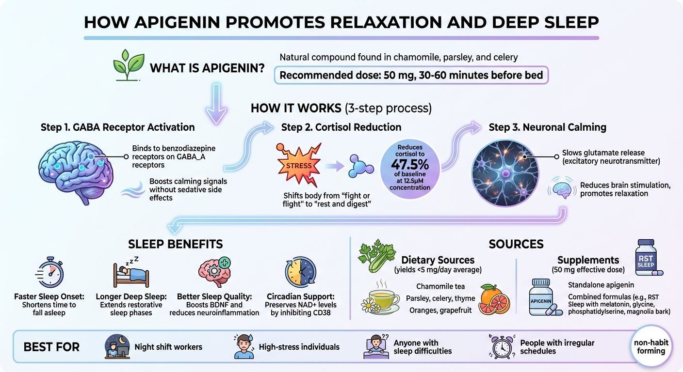 How Apigenin Works: From GABA Activation to Deep Sleep