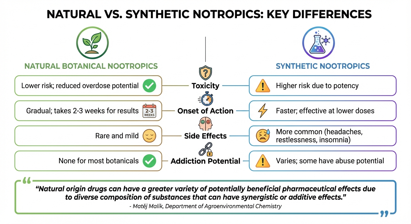 Natural vs Synthetic Nootropics: Safety, Effects, and Side Effects Comparison