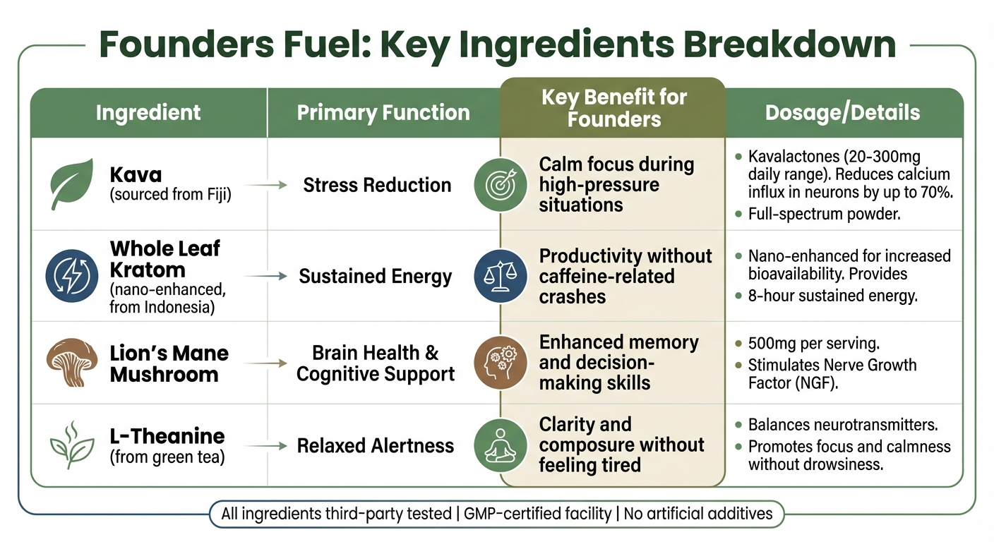 Founders Fuel Ingredients: Benefits and Functions for Entrepreneurs
