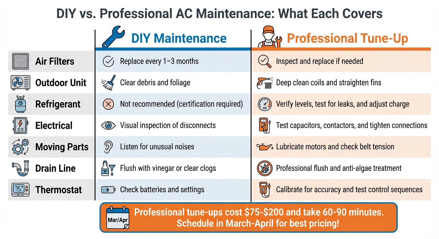 DIY vs Professional AC Maintenance Tasks Comparison Chart