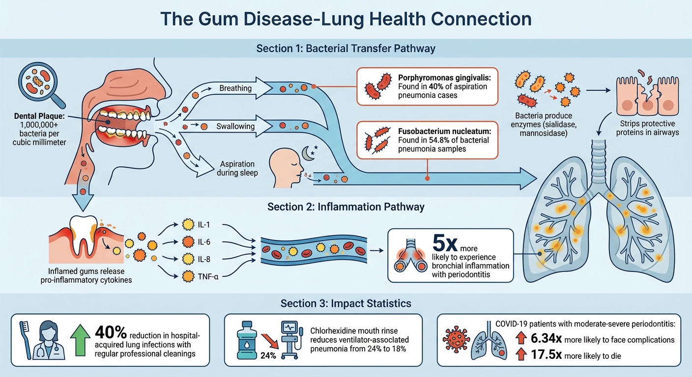 How Gum Disease Bacteria Travel to Lungs and Cause Respiratory Problems