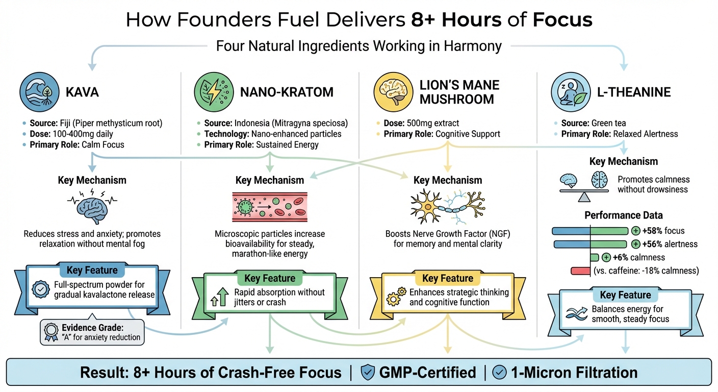 Founders Fuel Ingredients: Benefits and Mechanisms for 8+ Hours of Focus