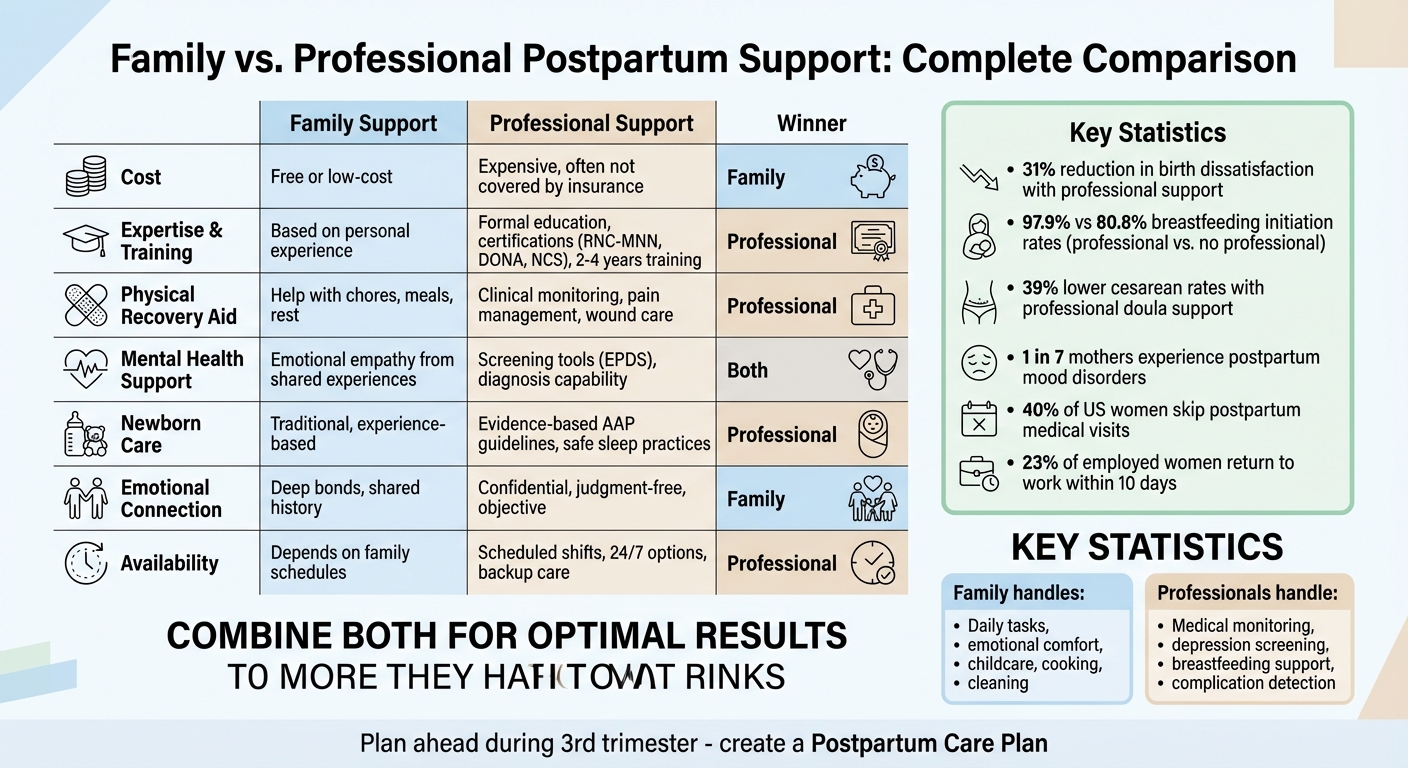 Family vs Professional Postpartum Support Comparison Chart