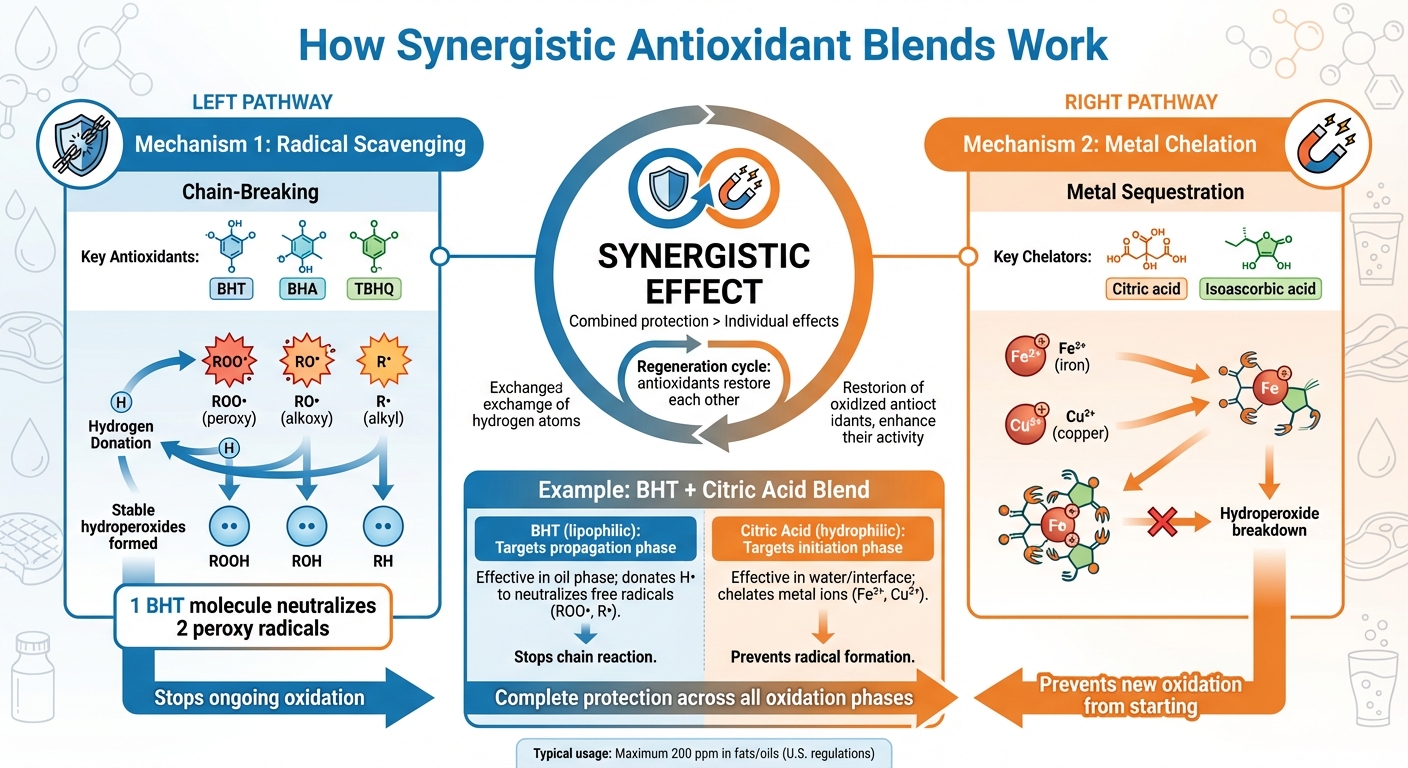 How Synergistic Antioxidant Blends Prevent Food Oxidation