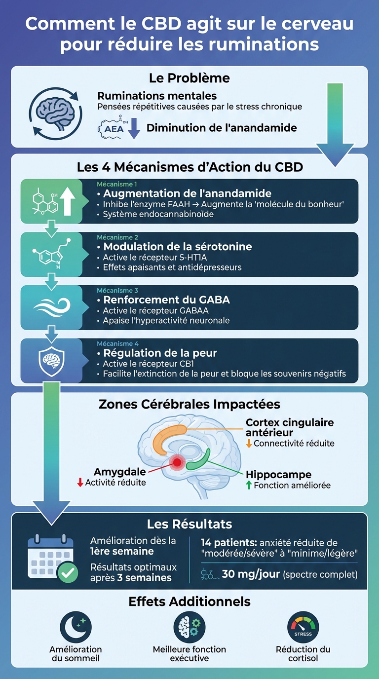 Comment le CBD réduit le stress et les ruminations mentales : mécanismes d'action