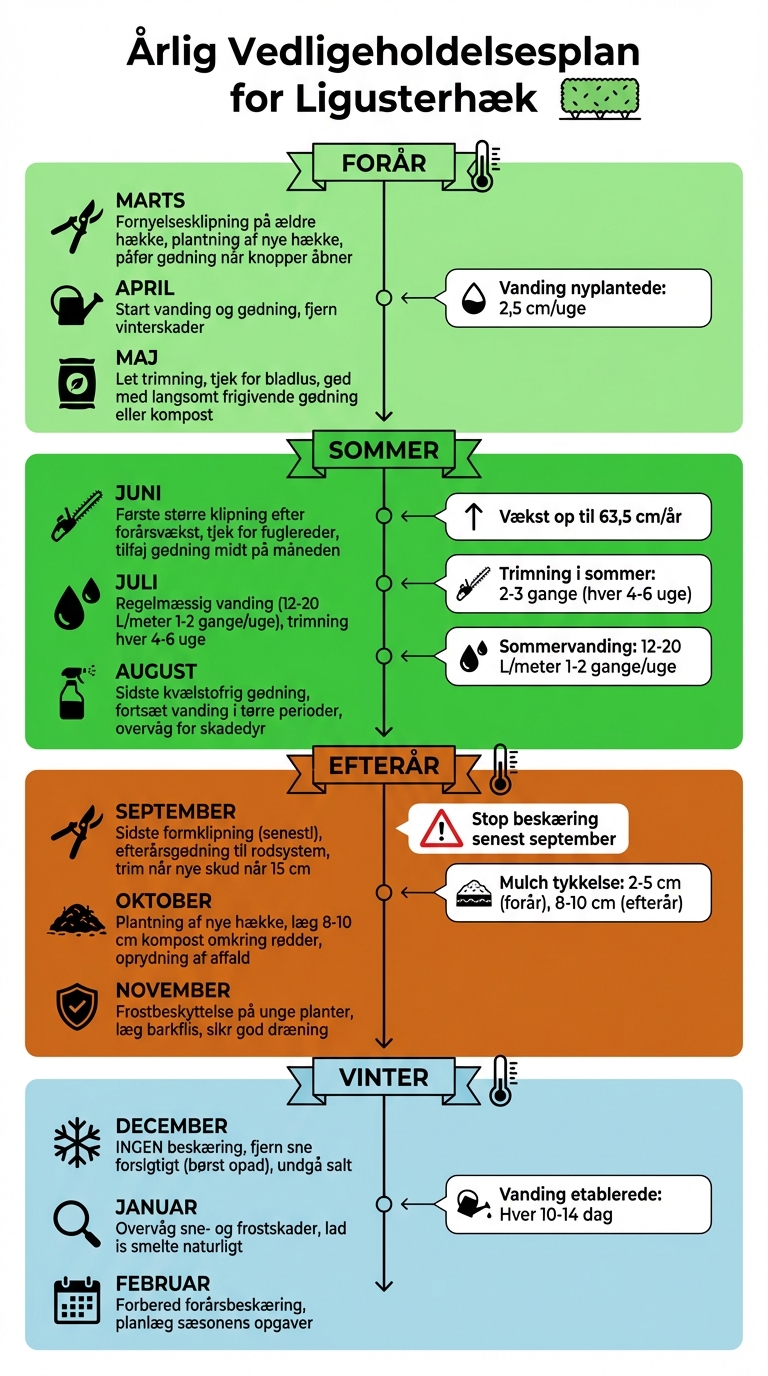 Årlig vedligeholdelsesplan for ligusterhæk - måned for måned guide