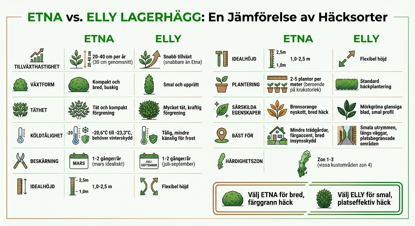 Etna vs Elly lagerhäck jämförelse: tillväxt, täthet och egenskaper