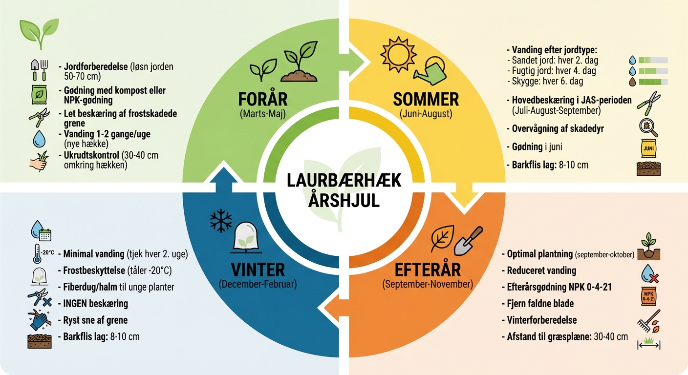 Årshjul for pleje af laurbærhæk - sæsonopdelt tjekliste