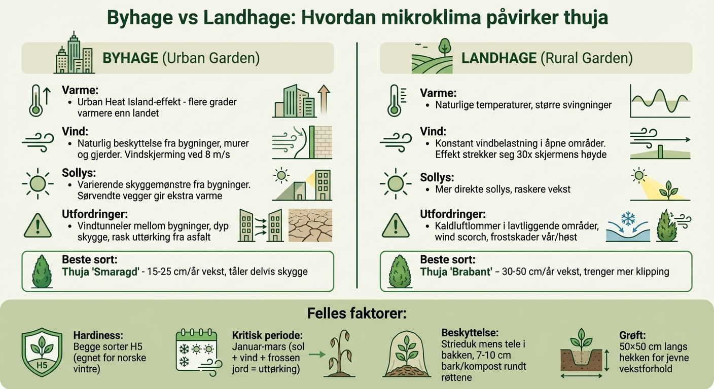 Byhage vs landhage: Mikroklima for thuja - sammenligning av vekstforhold