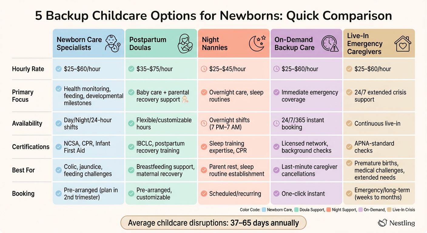 Comparison of 5 Backup Childcare Options for Newborns: Features and Rates