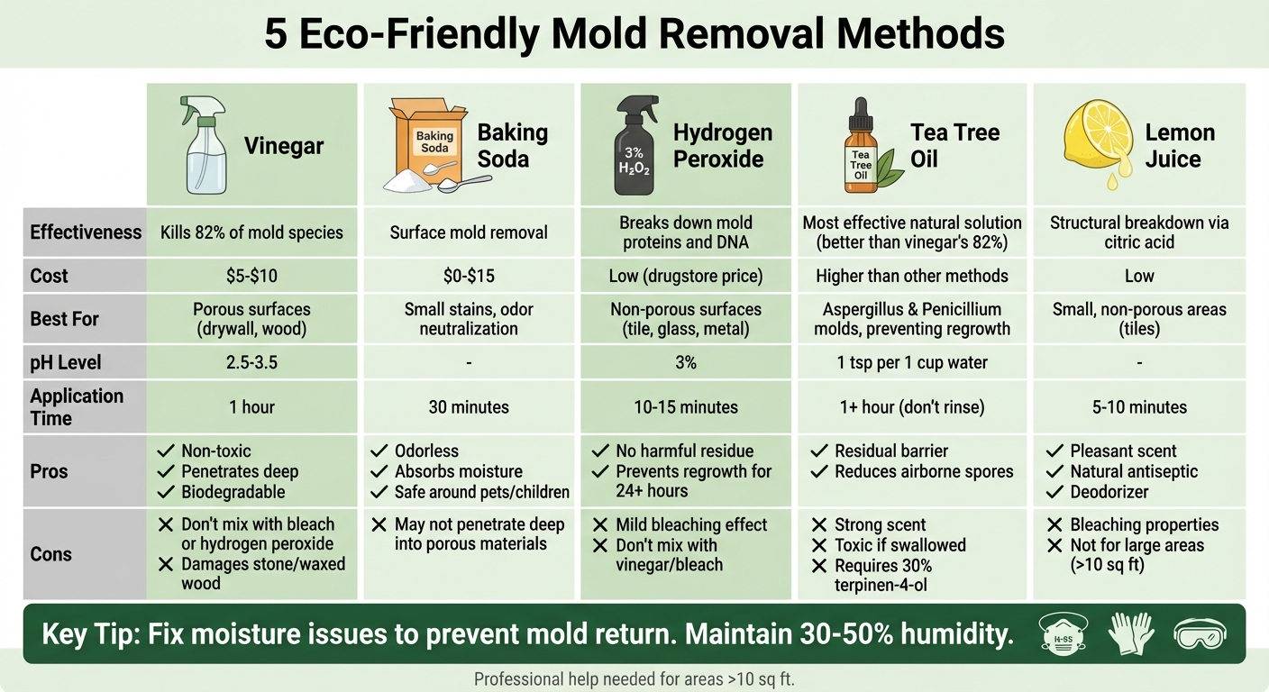 5 Eco-Friendly Mold Removal Methods Comparison Chart